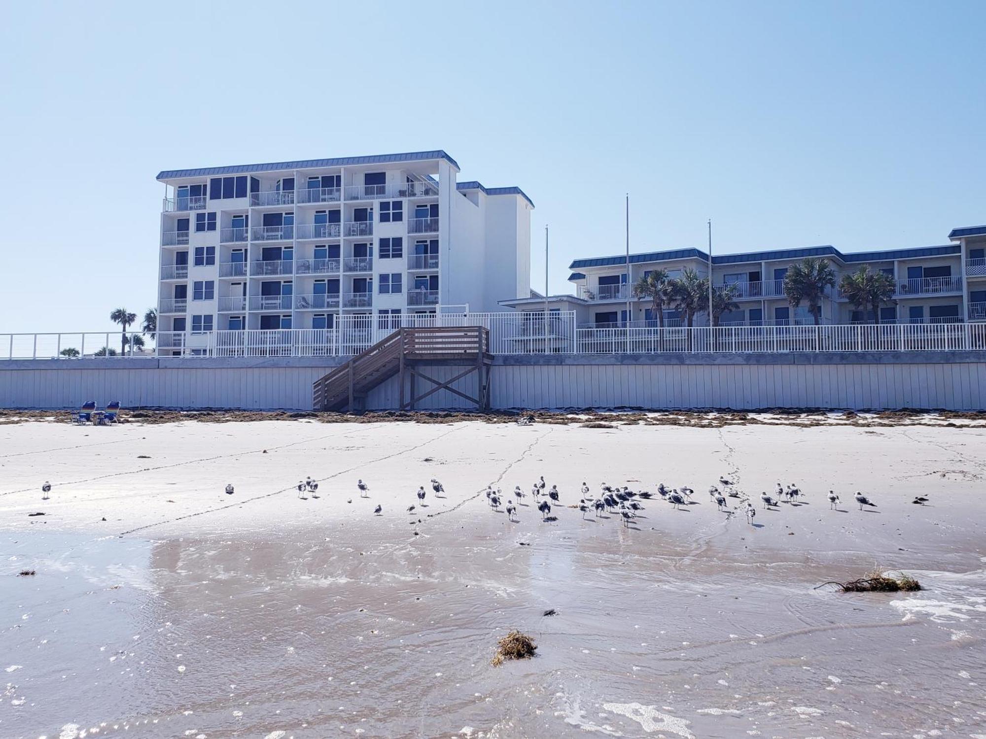 Beachside Bliss Ocean Views & Endless Fun Daytona Beach! 외부 사진